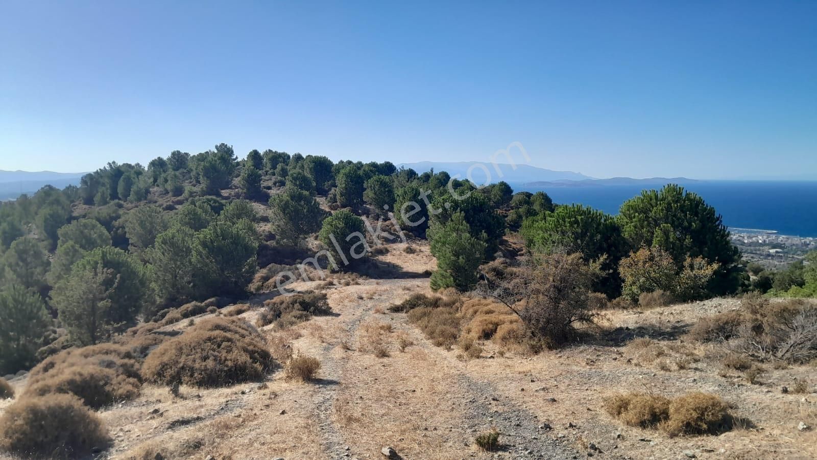 Güzelbahçe Yaka Mahallesi 6523 M2 Deniz Ve Doğa Manzaralı Tarla - Görsel 12