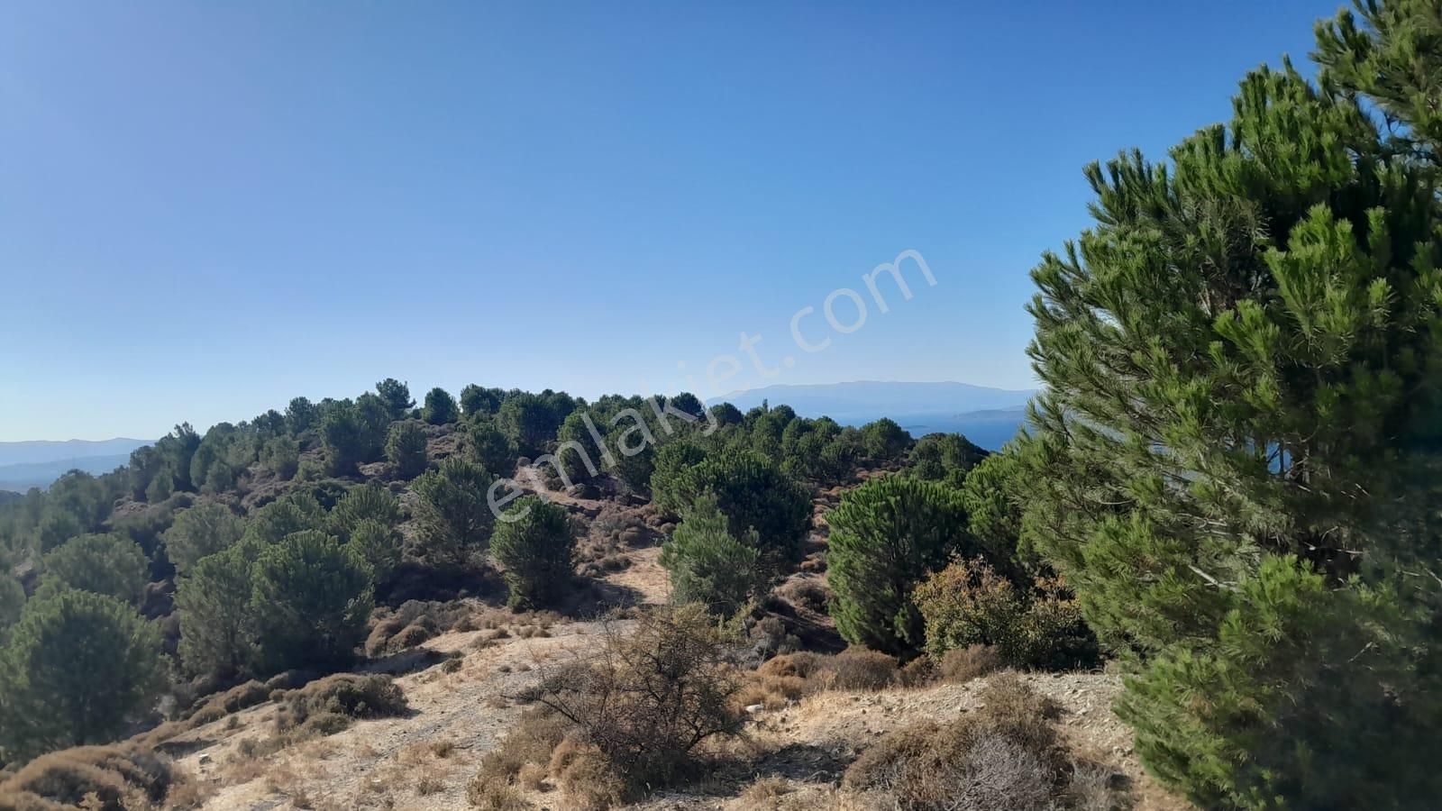 Güzelbahçe Yaka Mahallesi 6523 M2 Deniz Ve Doğa Manzaralı Tarla - Görsel 3