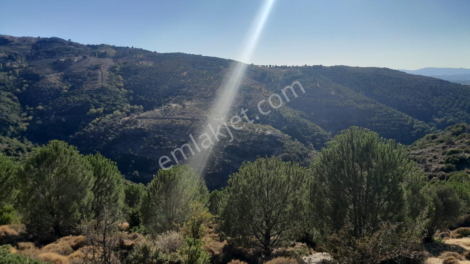 Güzelbahçe Yaka Mahallesi 6523 M2 Deniz Ve Doğa Manzaralı Tarla - Görsel 16