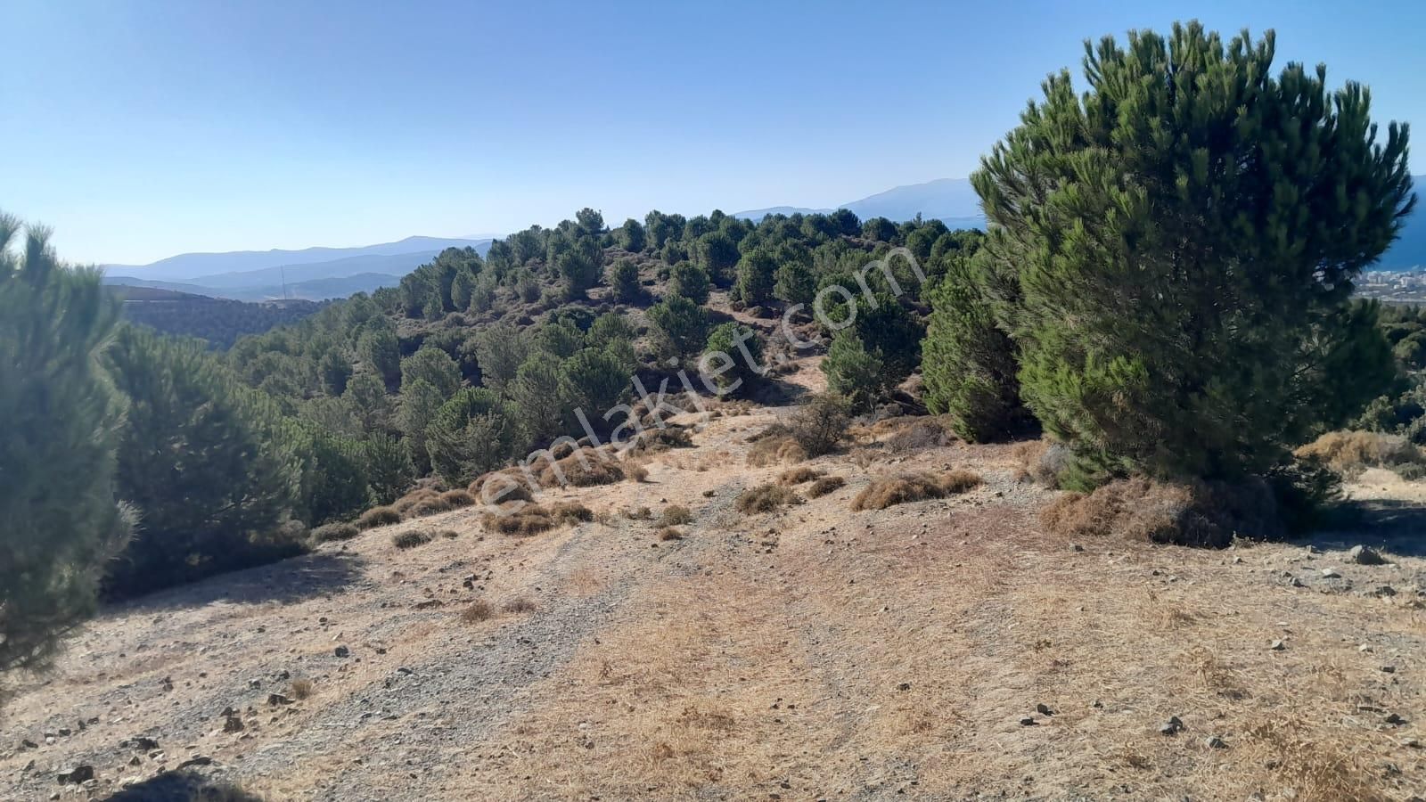 Güzelbahçe Yaka Mahallesi 6523 M2 Deniz Ve Doğa Manzaralı Tarla - Görsel 10