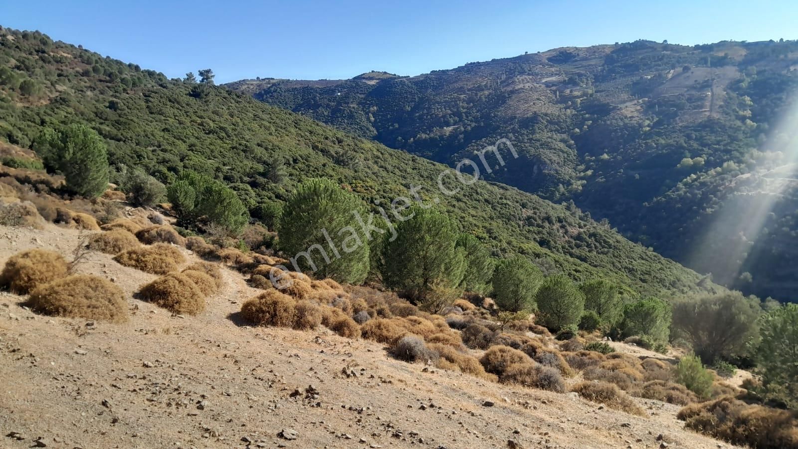 Güzelbahçe Yaka Mahallesi 6523 M2 Deniz Ve Doğa Manzaralı Tarla - Görsel 20