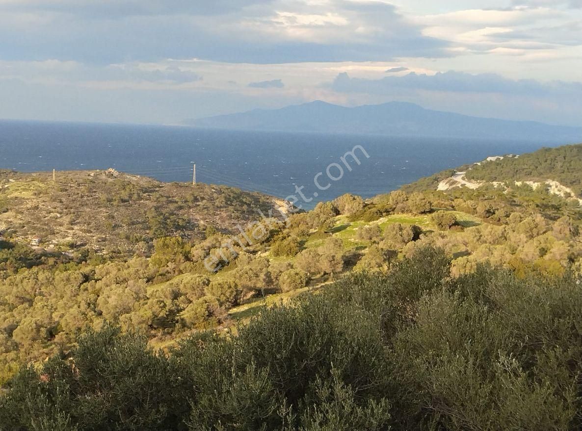 Foça Sazlıca Plajı Deniz Manzaralı İmarlı Tripleks Villa Arsa - Görsel 4