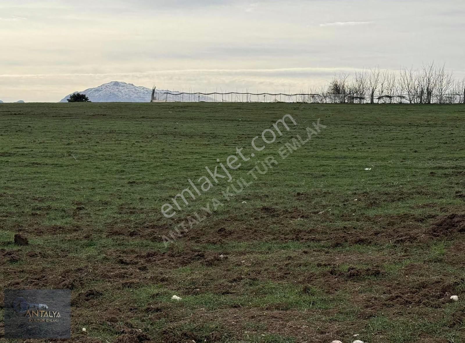 Muğla Seydikemer Yaylagökben'de Köy İçi 1.440m2 Satılık Tarla - Görsel 5
