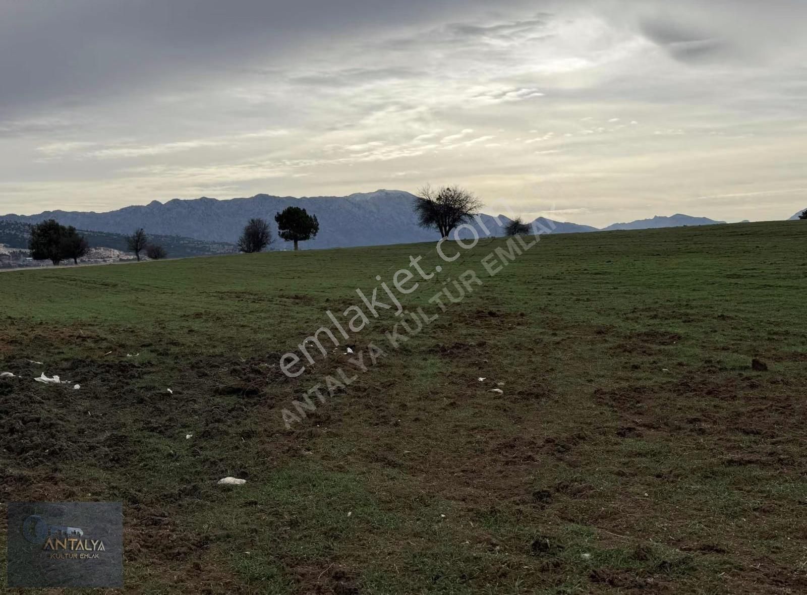 Muğla Seydikemer Yaylagökben'de Köy İçi 1.440m2 Satılık Tarla - Görsel 6