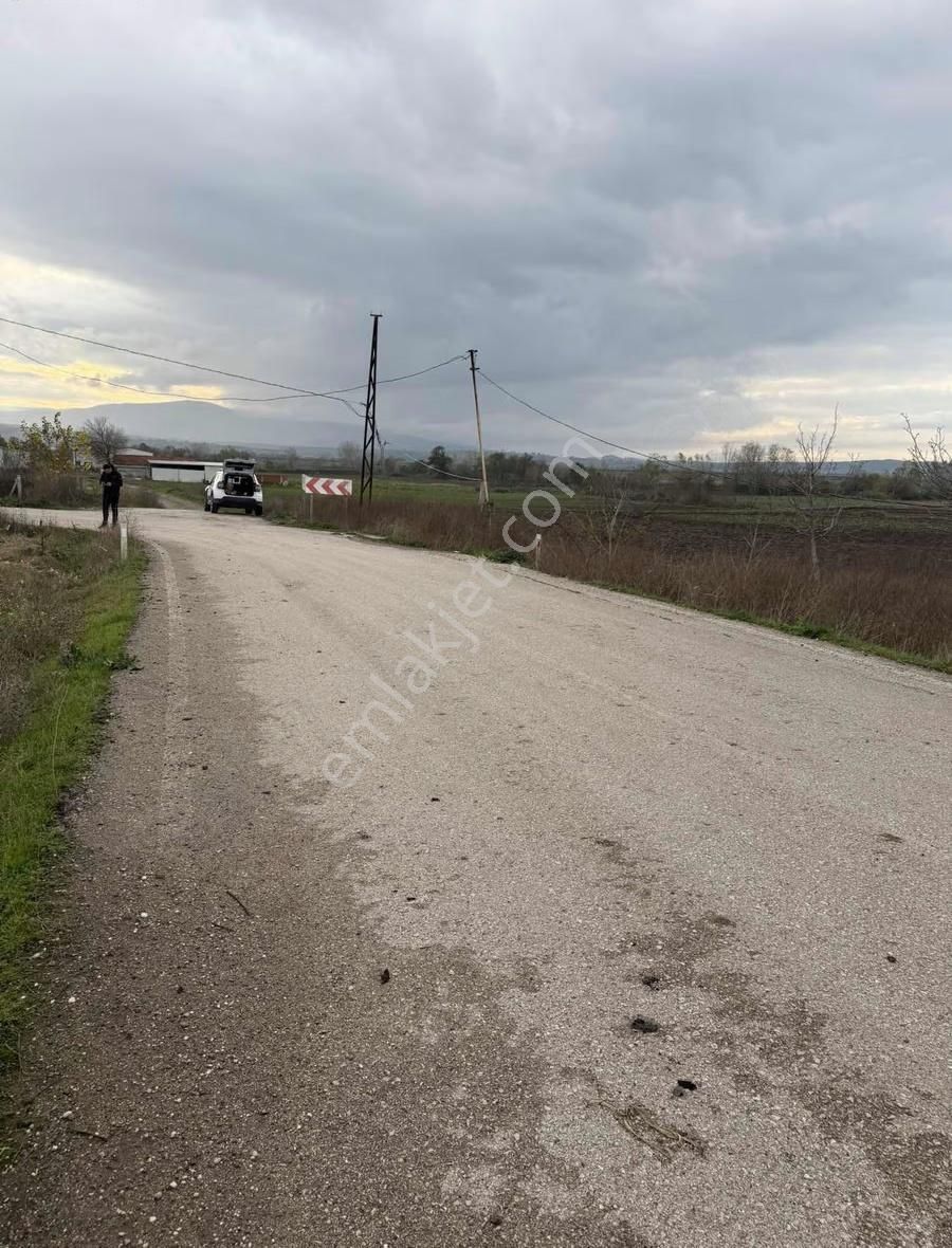 İzmir Oto Yoluna 600 Metre Mesafede Asfalt Yola Cephe Arsalar - Görsel 3