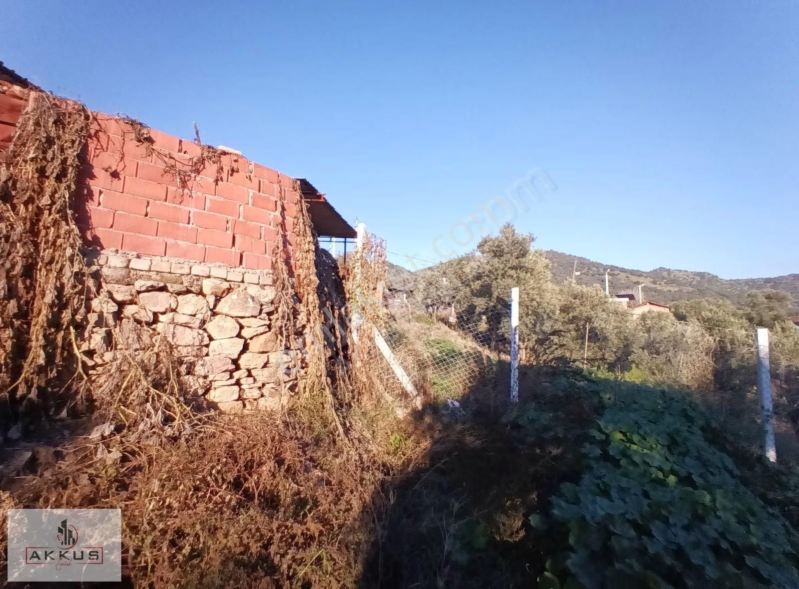 Akkuş Emlak'tan Köy Merkezinde Zeytinlik - Görsel 13