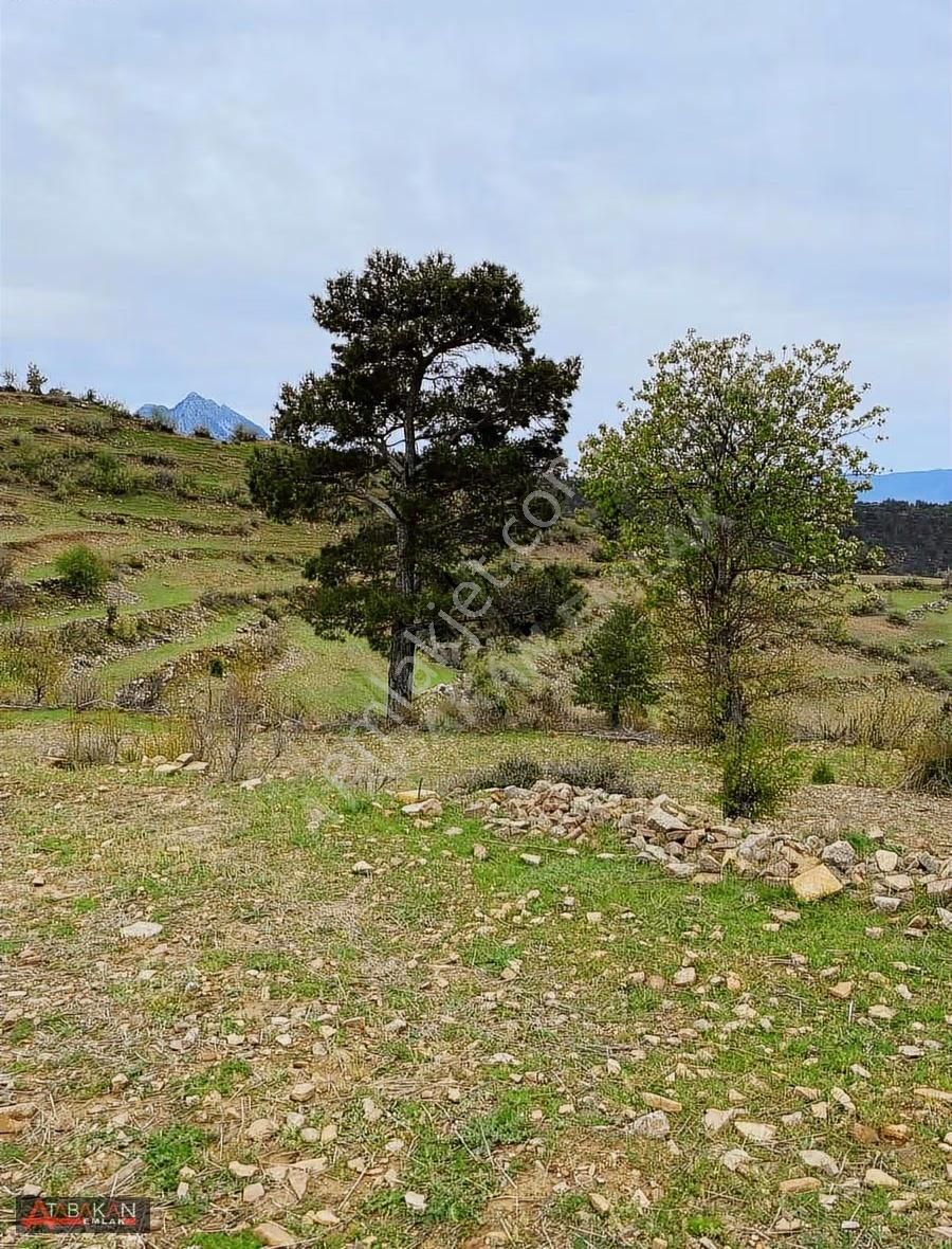 Manavgat Düzağaçta 102 Dönümlük Yatırımlık Tarla - Görsel 3