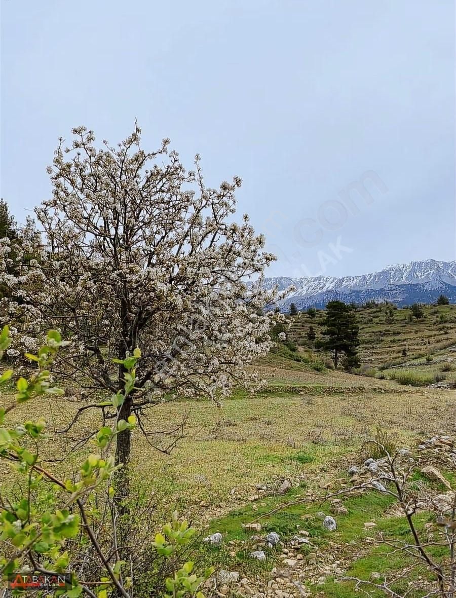 Manavgat Düzağaçta 102 Dönümlük Yatırımlık Tarla - Görsel 5
