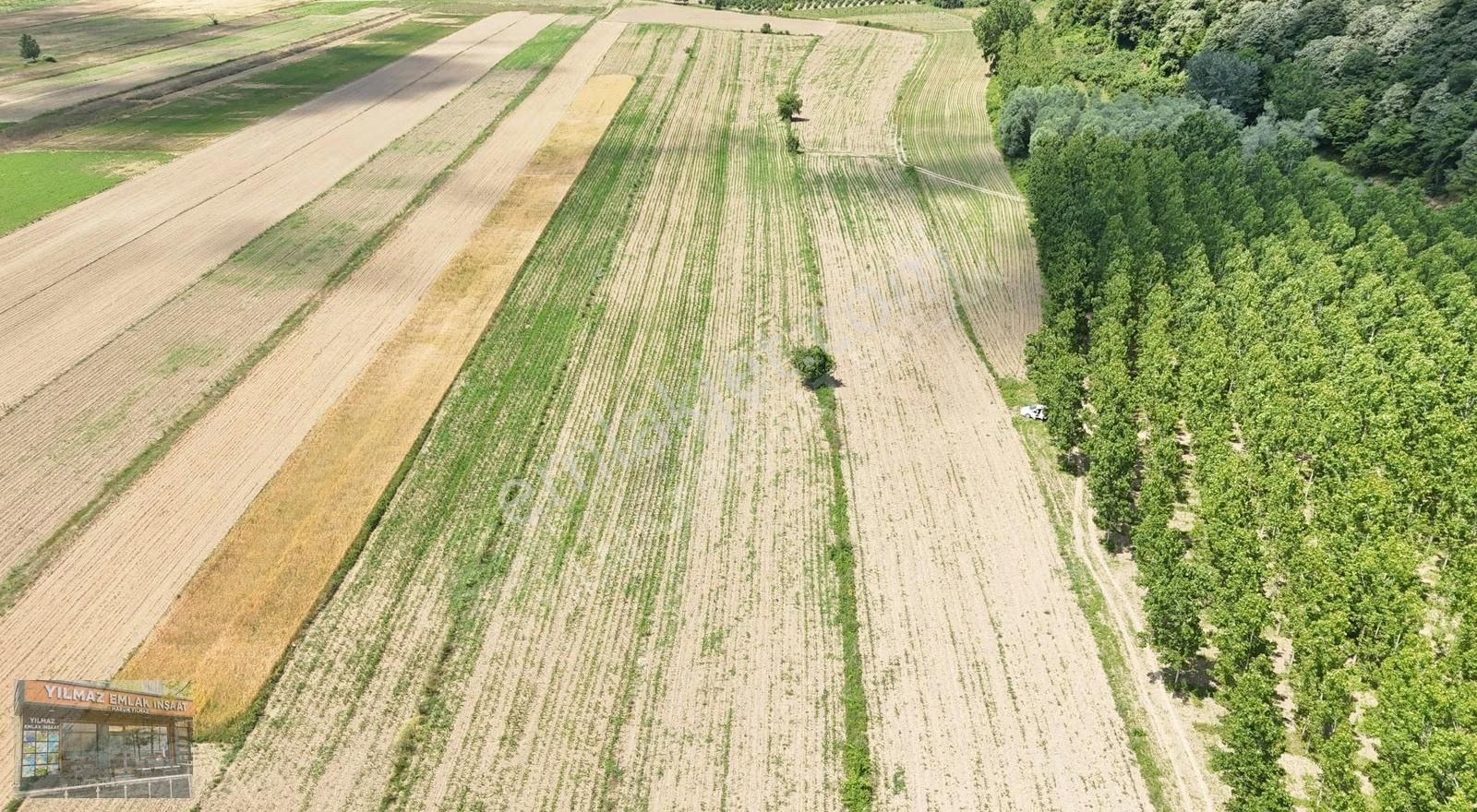 Yılmaz İnşaattan Akkum Köyünde Satılık 5000 M2 Fırsat Arsa