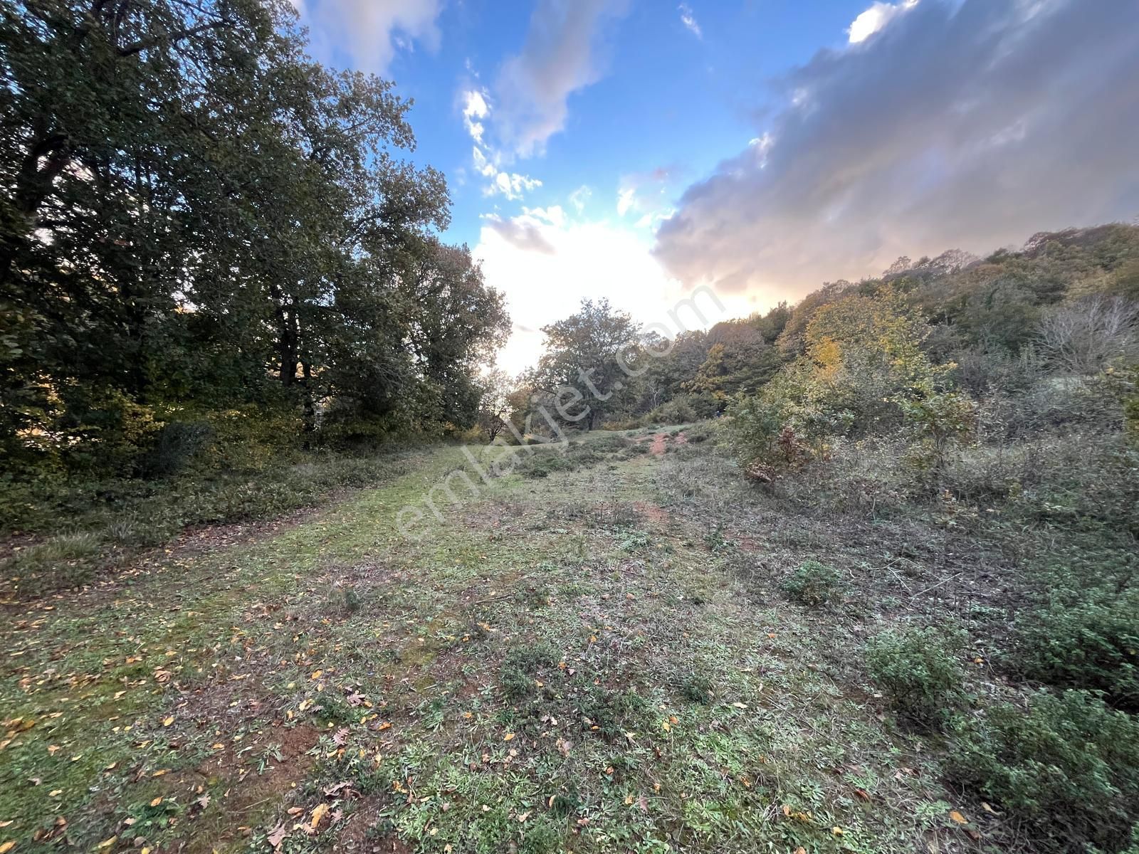 Yola Cepheli Ormana Komşu 0.20 İmarlı Arsa - Görsel 4