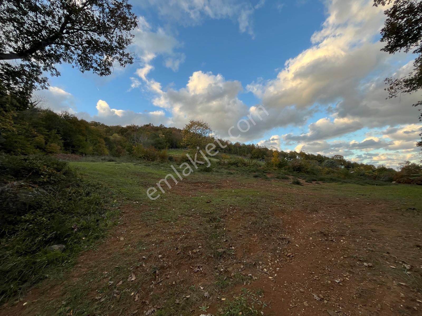 Yola Cepheli Ormana Komşu 0.20 İmarlı Arsa - Görsel 3