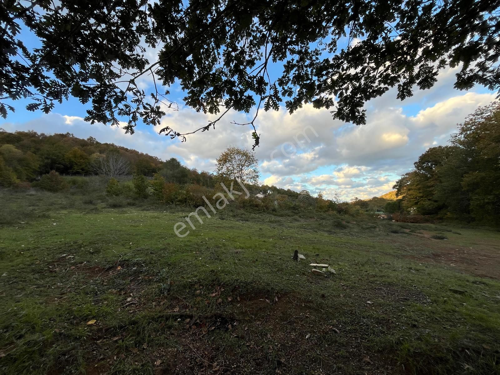 Yola Cepheli Ormana Komşu 0.20 İmarlı Arsa - Görsel 8
