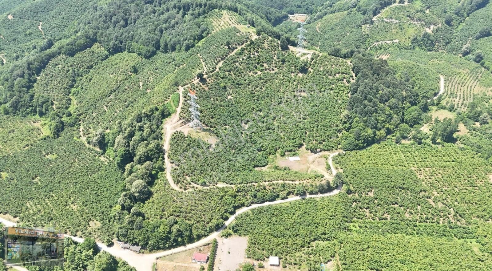 25 Dönüm Tapulu 45 Dönüm Tapusuz Kuyumcullu Maden Deresi Mevki - Görsel 3