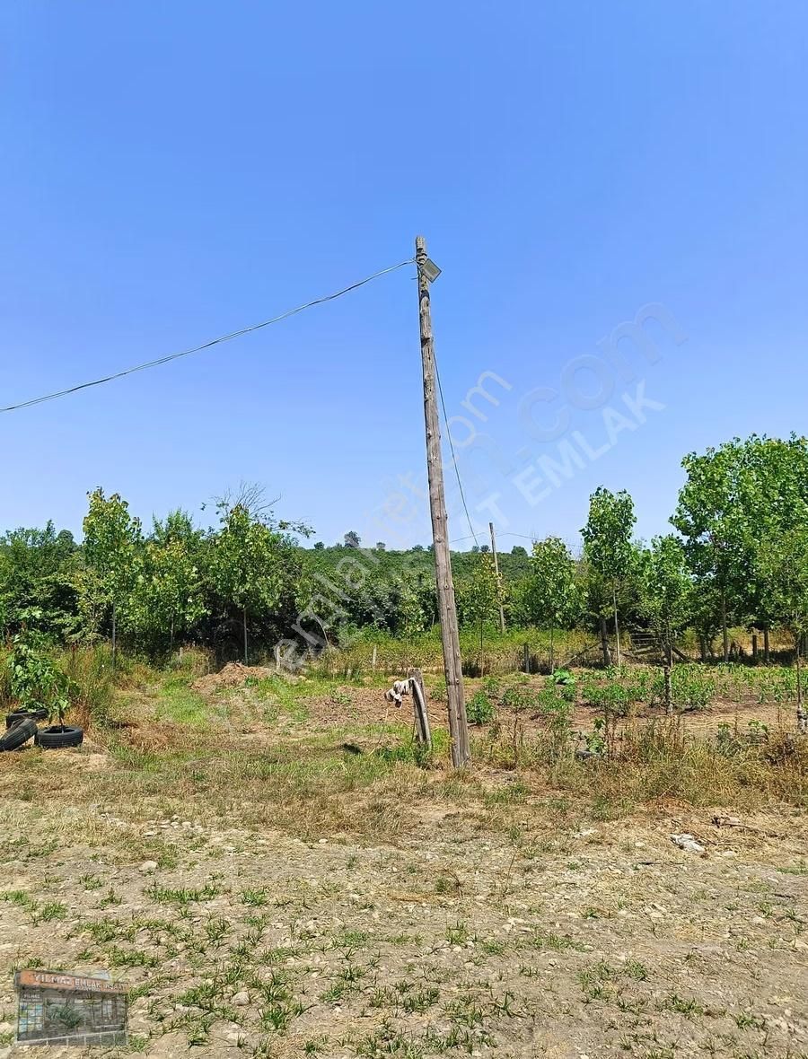 25 Dönüm Tapulu 45 Dönüm Tapusuz Kuyumcullu Maden Deresi Mevki - Görsel 9