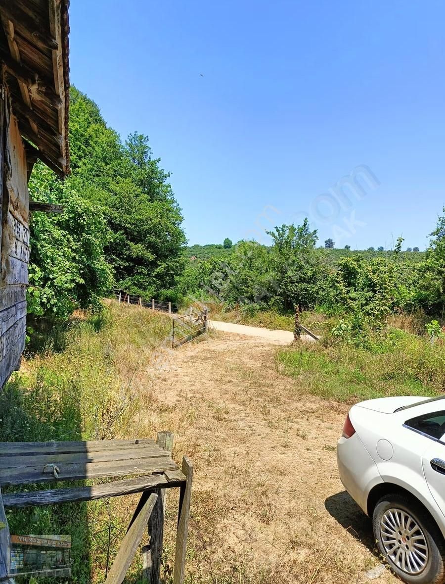 25 Dönüm Tapulu 45 Dönüm Tapusuz Kuyumcullu Maden Deresi Mevki - Görsel 4