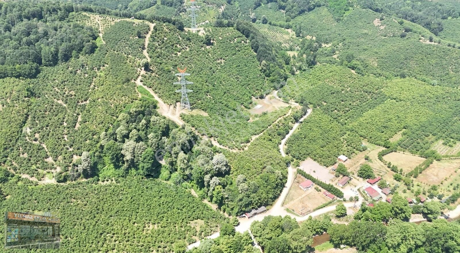 25 Dönüm Tapulu 45 Dönüm Tapusuz Kuyumcullu Maden Deresi Mevki - Görsel 30
