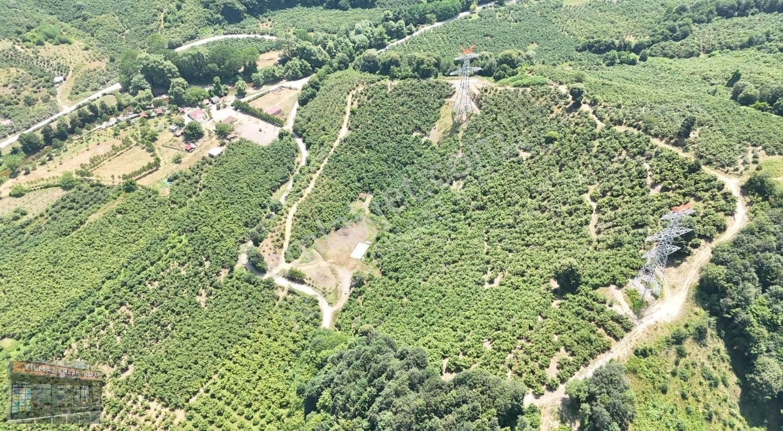 25 Dönüm Tapulu 45 Dönüm Tapusuz Kuyumcullu Maden Deresi Mevki - Görsel 18