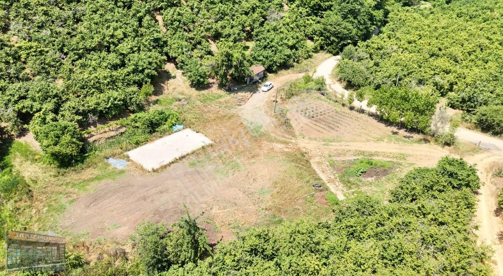 25 Dönüm Tapulu 45 Dönüm Tapusuz Kuyumcullu Maden Deresi Mevki - Görsel 32