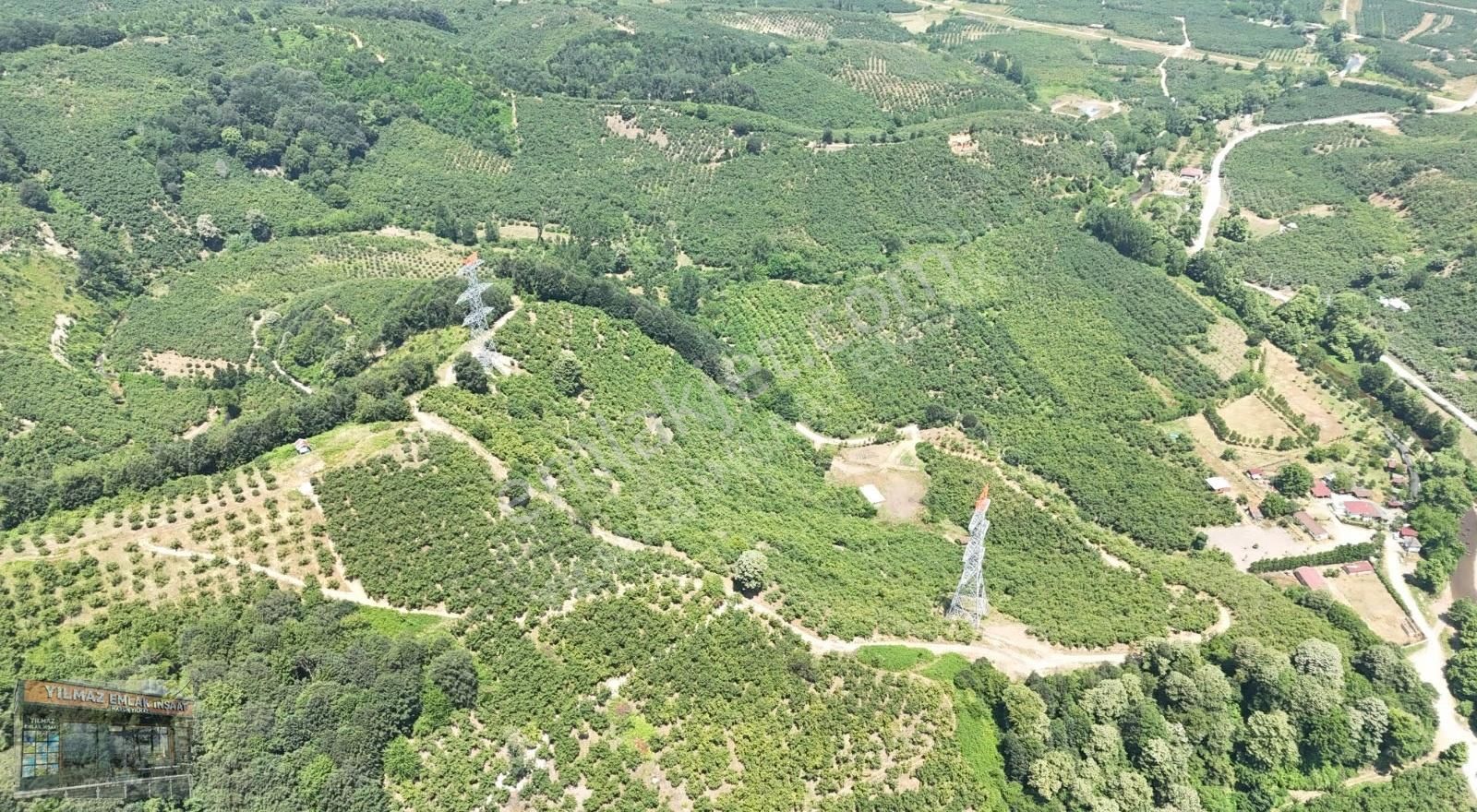 25 Dönüm Tapulu 45 Dönüm Tapusuz Kuyumcullu Maden Deresi Mevki - Görsel 12