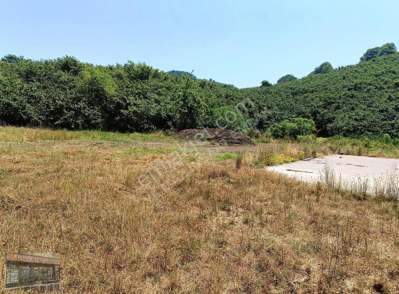 25 Dönüm Tapulu 45 Dönüm Tapusuz Kuyumcullu Maden Deresi Mevki - Görsel 21