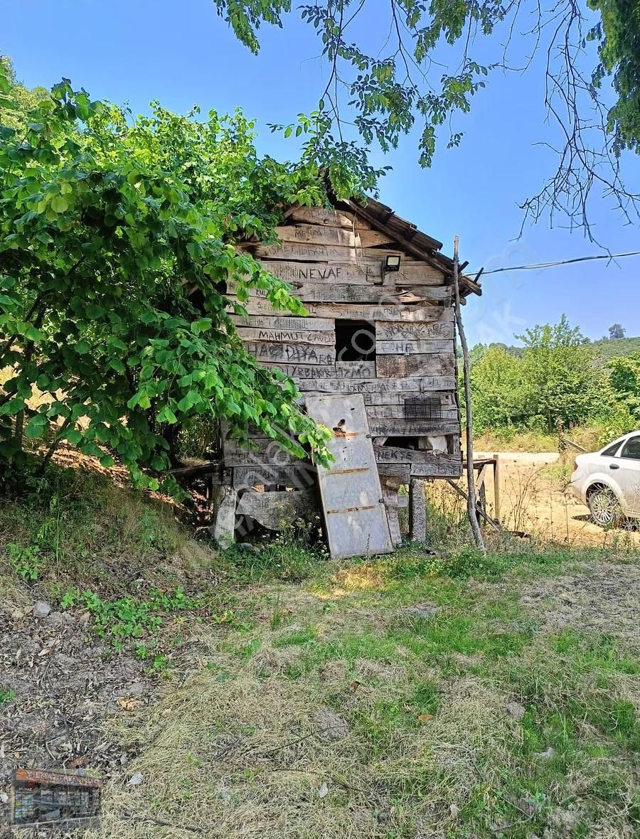 25 Dönüm Tapulu 45 Dönüm Tapusuz Kuyumcullu Maden Deresi Mevki - Görsel 8