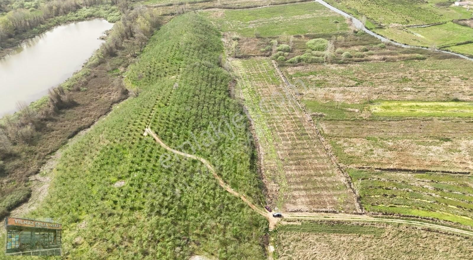 Karasu Kuyumculluda 6 Dönüm Deniz Gören Fındıklık - Görsel 3
