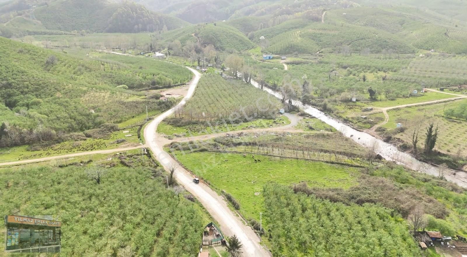 Karasu Kuyumculluda 6 Dönüm Deniz Gören Fındıklık - Görsel 29