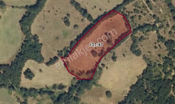 Çanakkale - Yenicede Takasa Uygun Tek Tapu Tarla | Evport Gyo |