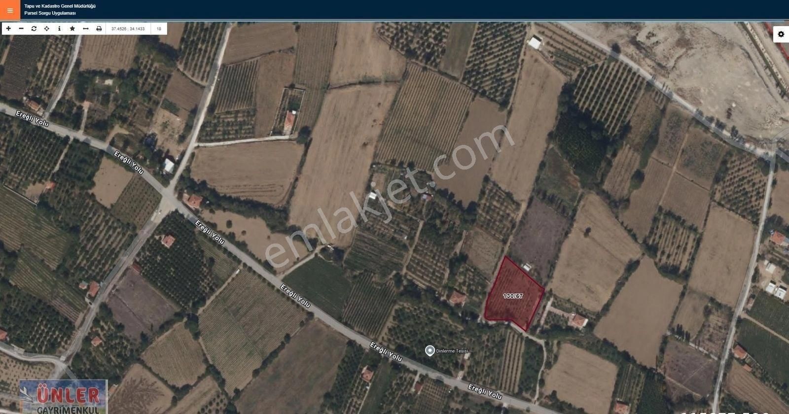 Yıldızlıda 3321 Metrekare Tek Tapulu Sulu Bahçemiz Satılıktır - Görsel 9