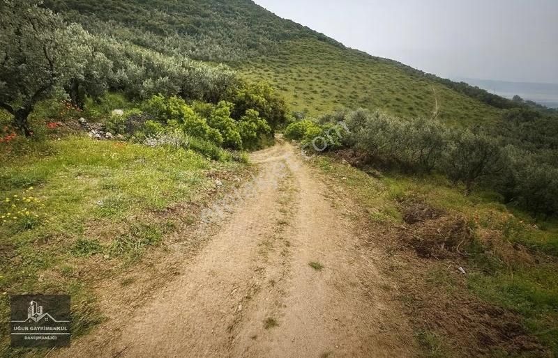 Uğur Gayrimenkul'den Manastır'da Satılık Konut İmarlı Arsa - Görsel 3