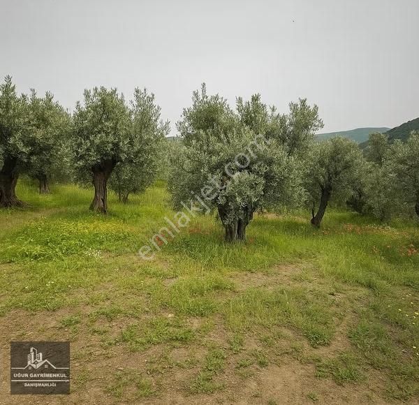 Uğur Gayrimenkul'den Manastır'da Satılık Konut İmarlı Arsa - Görsel 2