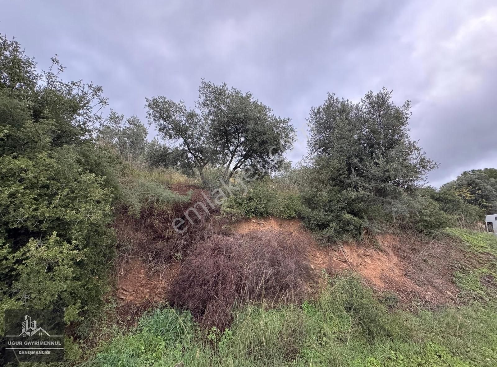 Uğur Gayrimenkul'den Deniz Manzaralı Ve Konut İmarlı Arsa - Görsel 5