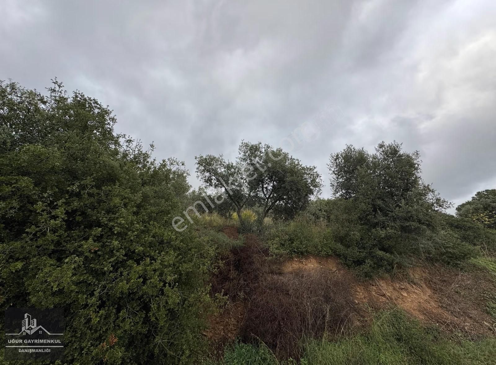 Uğur Gayrimenkul'den Deniz Manzaralı Ve Konut İmarlı Arsa - Görsel 14