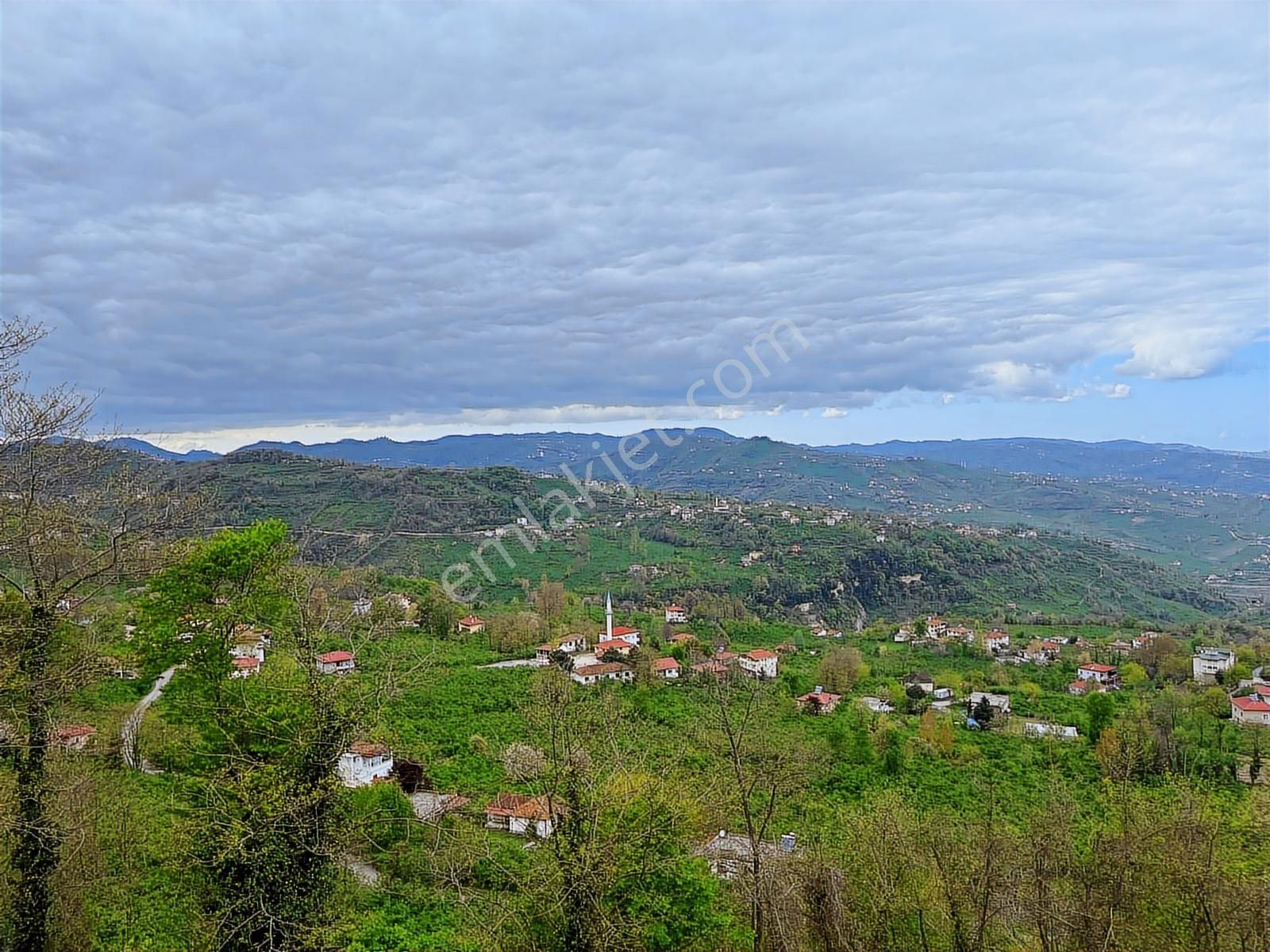 Hem Yaşam, Hem Yatırım Ev + 4.750 M² Fındık Bahçesi Şenköy - Görsel 34