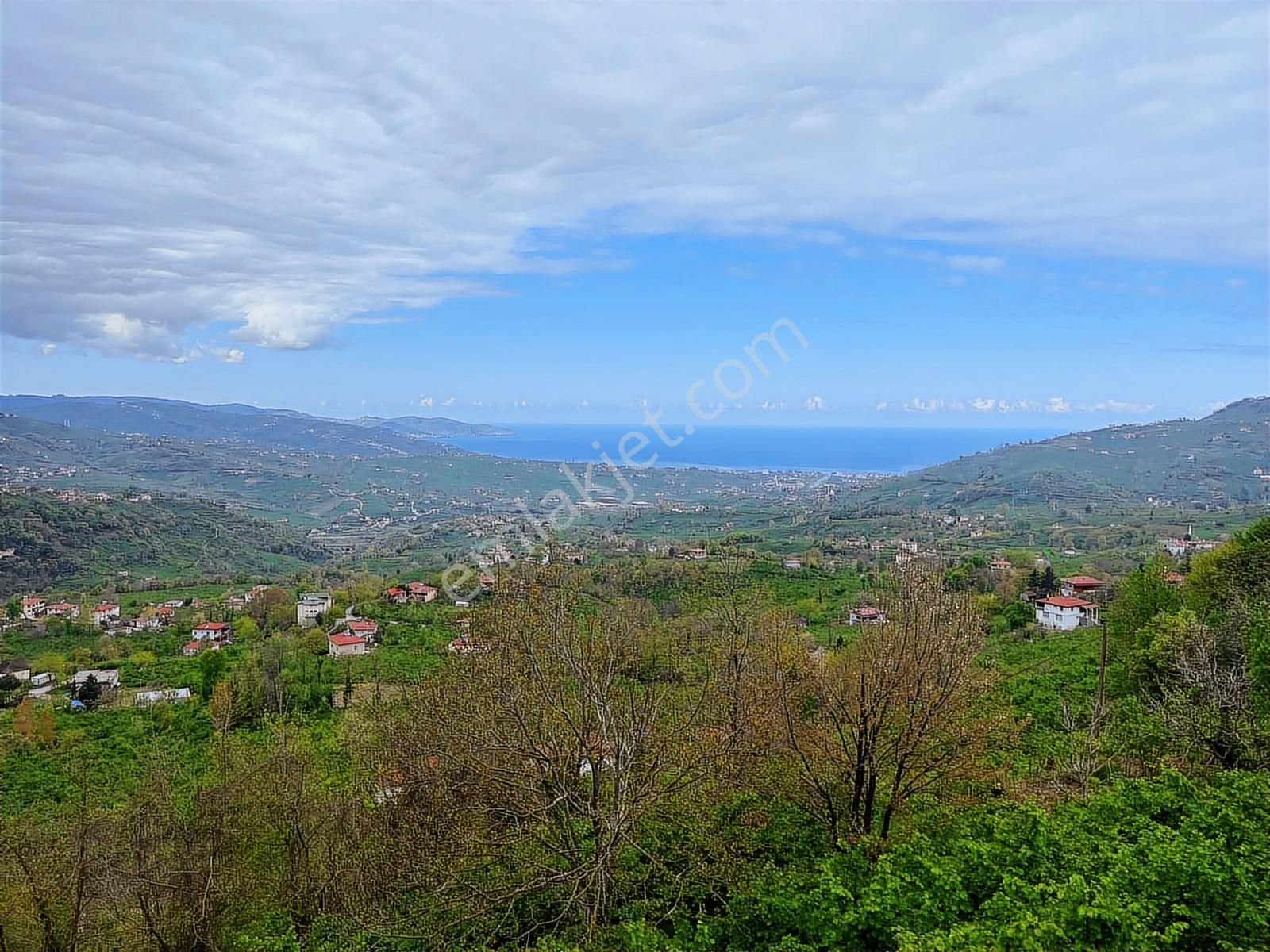 Hem Yaşam, Hem Yatırım Ev + 4.750 M² Fındık Bahçesi Şenköy - Görsel 6