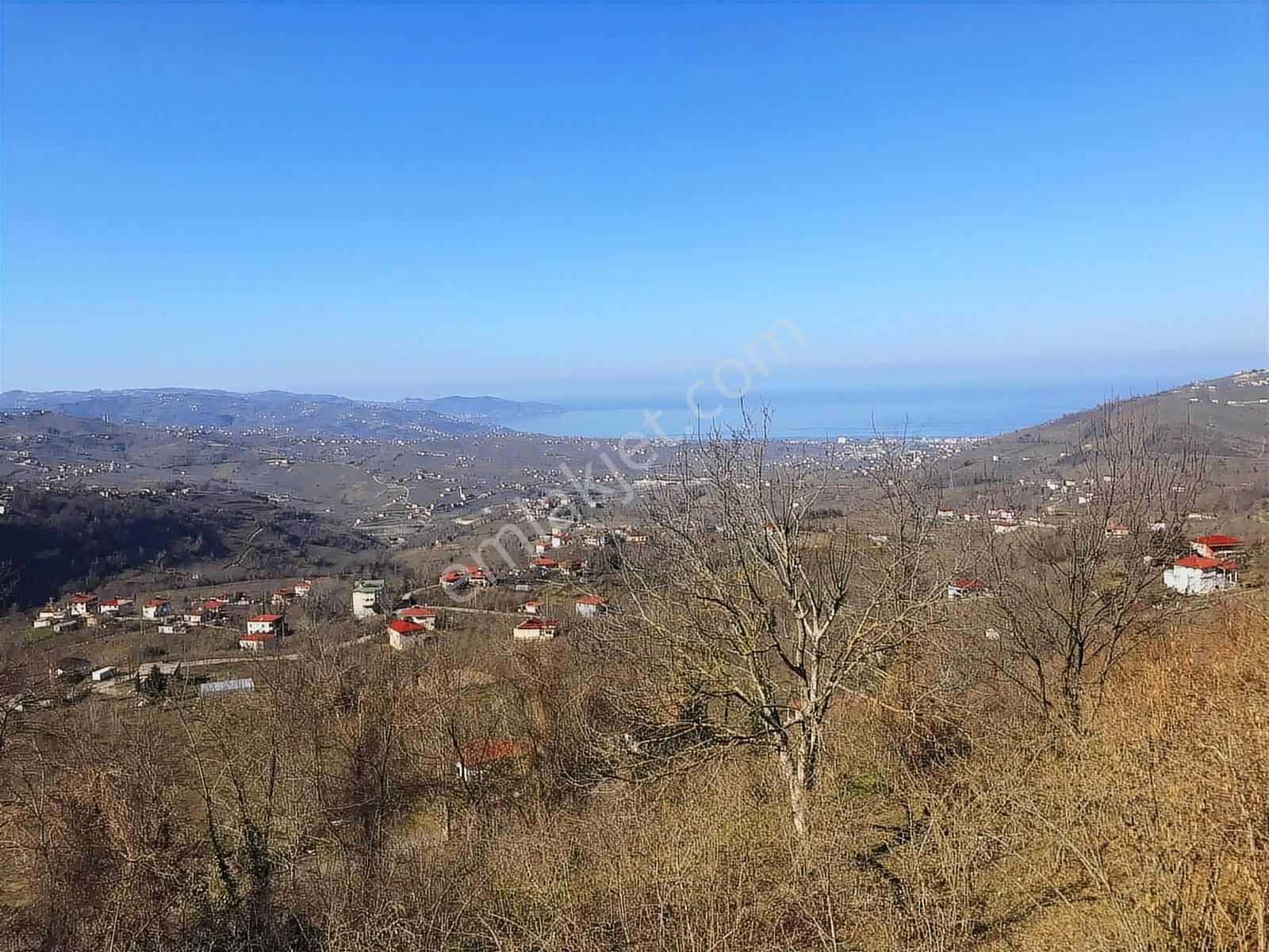 Hem Yaşam, Hem Yatırım Ev + 4.750 M² Fındık Bahçesi Şenköy - Görsel 3