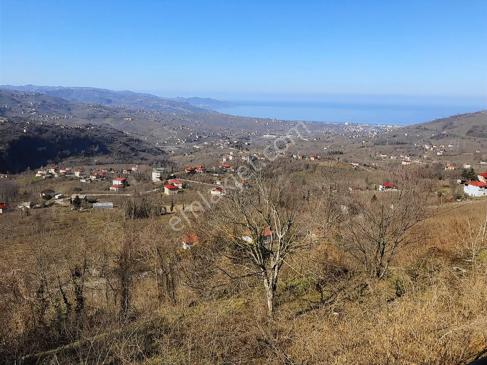 Hem Yaşam, Hem Yatırım Ev + 4.750 M² Fındık Bahçesi Şenköy - Görsel 28