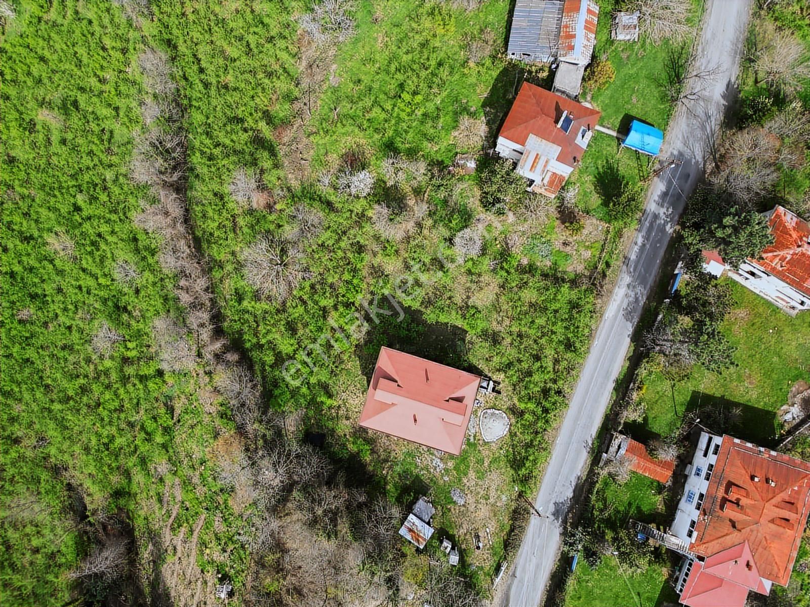 Hem Yaşam, Hem Yatırım Ev + 4.750 M² Fındık Bahçesi Şenköy - Görsel 2