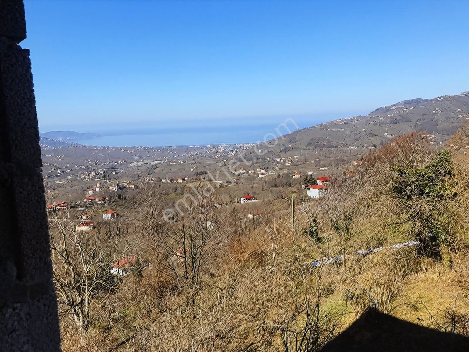 Hem Yaşam, Hem Yatırım Ev + 4.750 M² Fındık Bahçesi Şenköy - Görsel 16