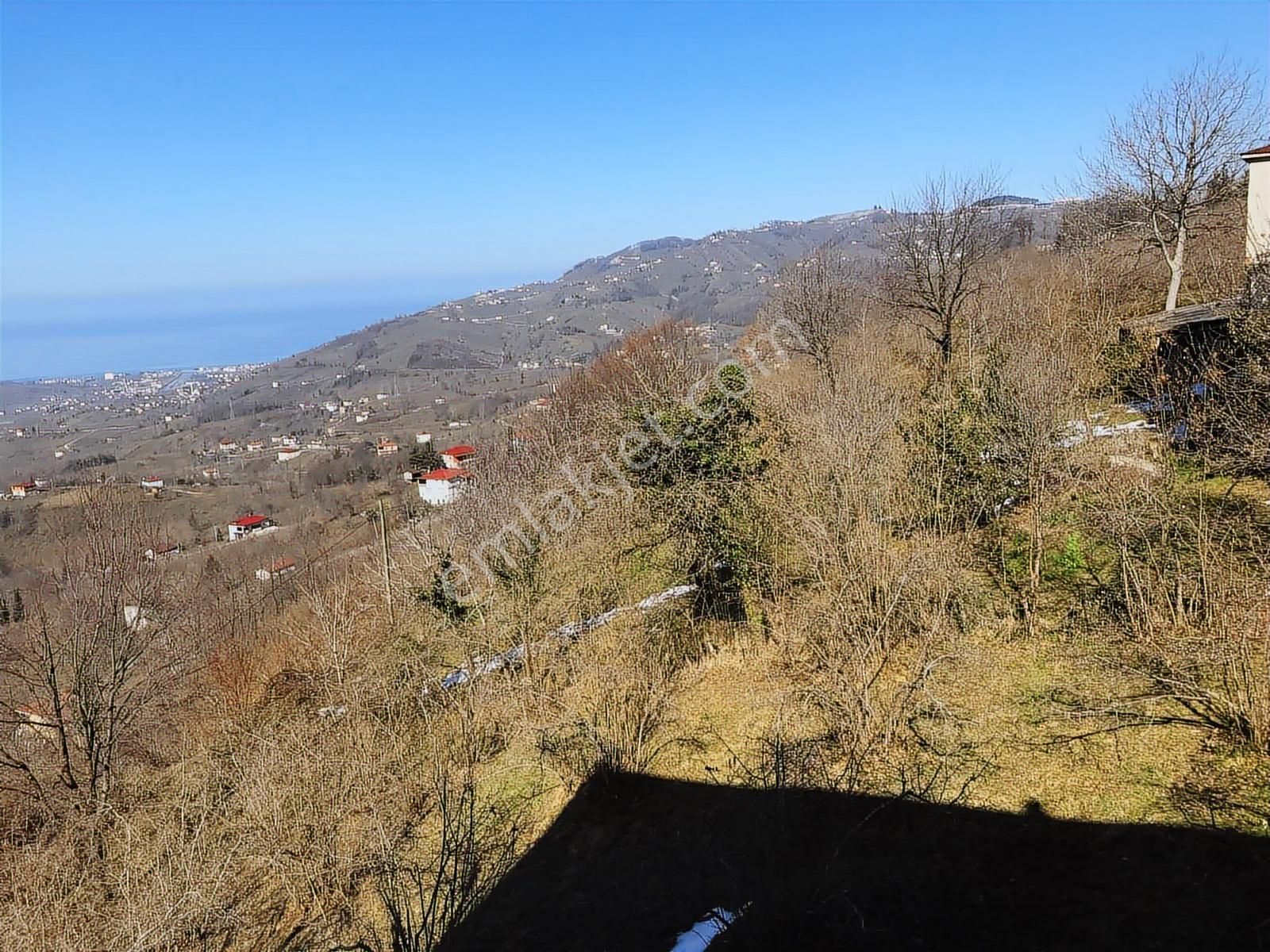 Hem Yaşam, Hem Yatırım Ev + 4.750 M² Fındık Bahçesi Şenköy - Görsel 20