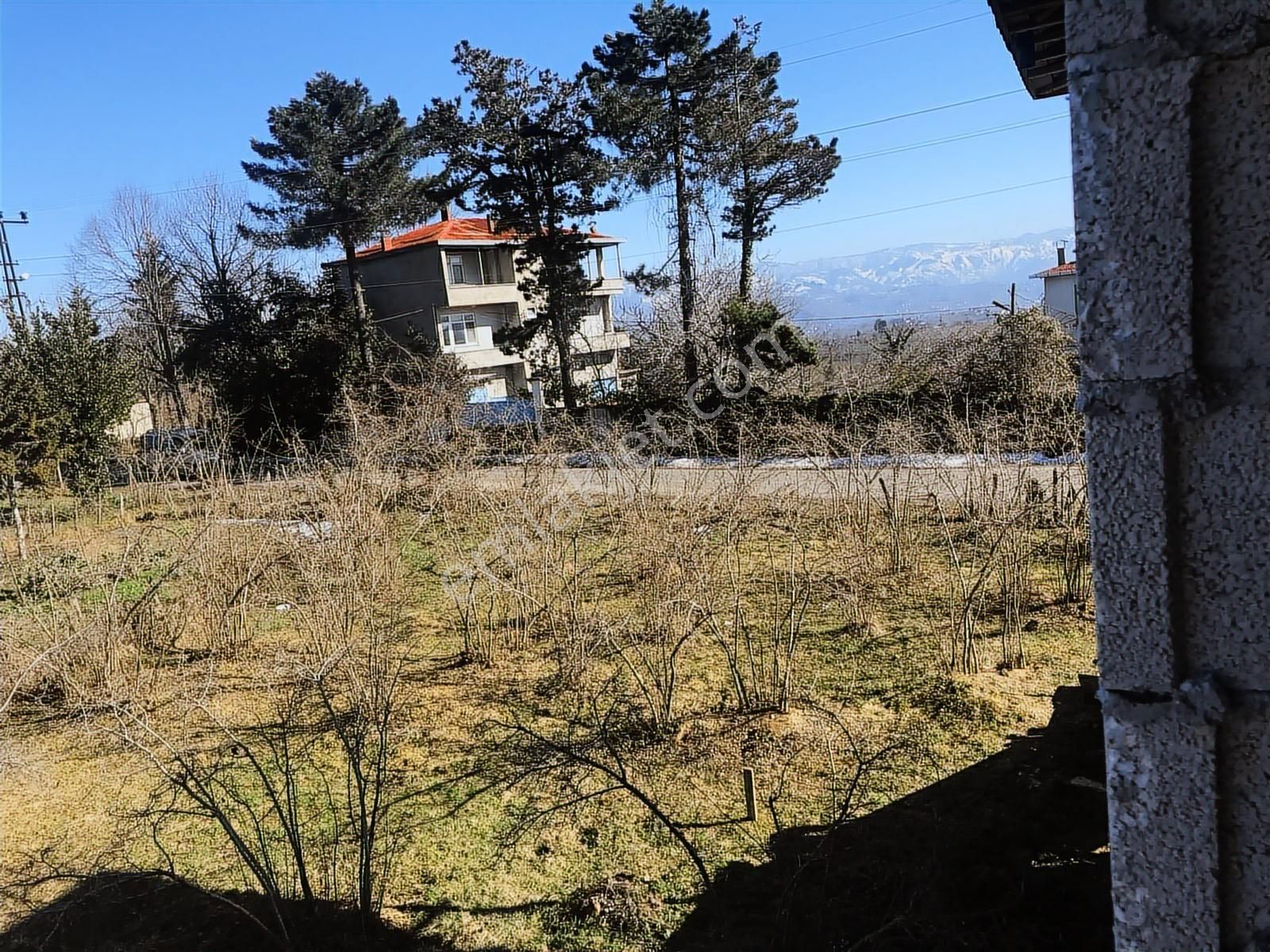 Hem Yaşam, Hem Yatırım Ev + 4.750 M² Fındık Bahçesi Şenköy - Görsel 15