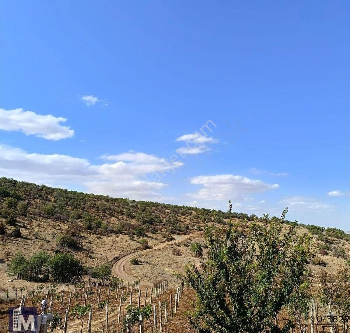 Yollarbaşı Köyü Özkes Mevkii 3000m² Alanlı Satılık Bağ Bahçe - Görsel 15