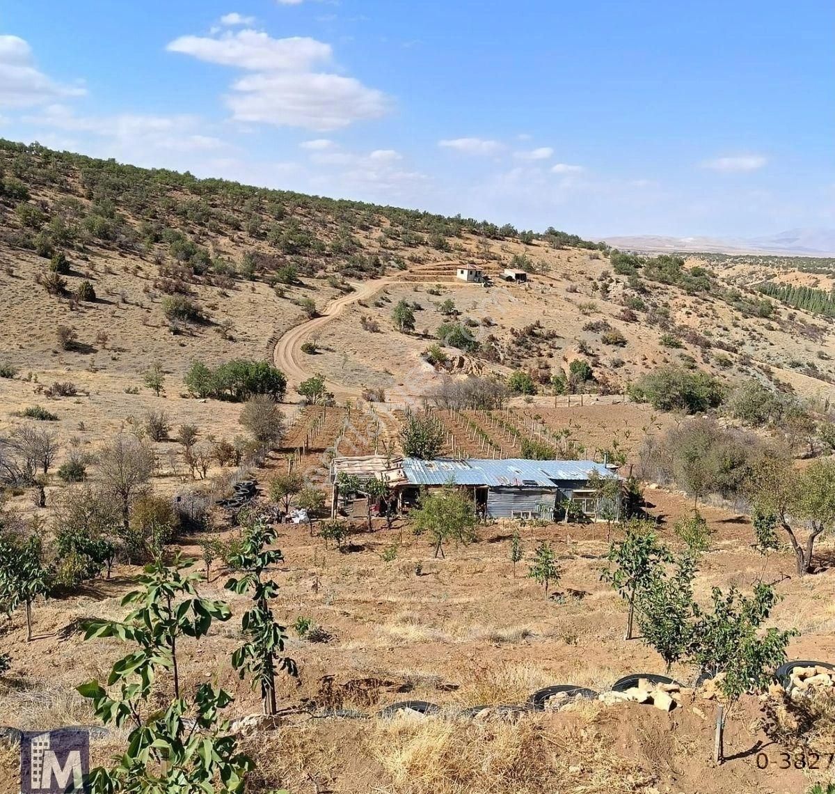 Yollarbaşı Köyü Özkes Mevkii 3000m² Alanlı Satılık Bağ Bahçe