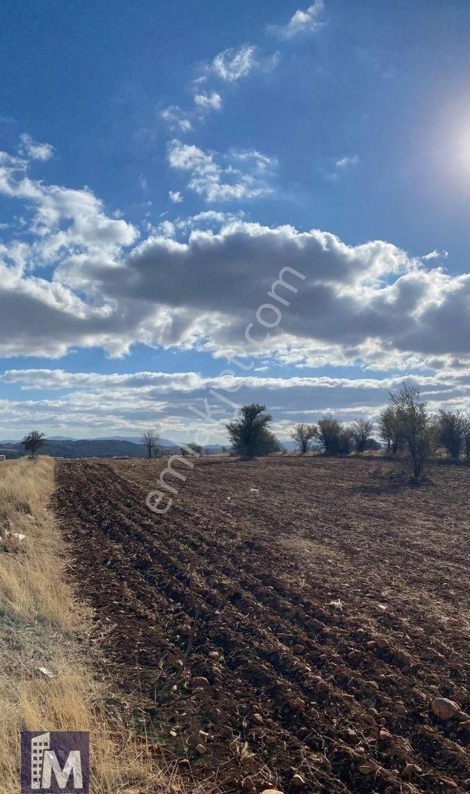 Bu Fiyata Yok!!! Morcalı Mevkii 20 Km Uzaklıkta 5.206 M² Satılık Hobi Bahçesi - Görsel 32