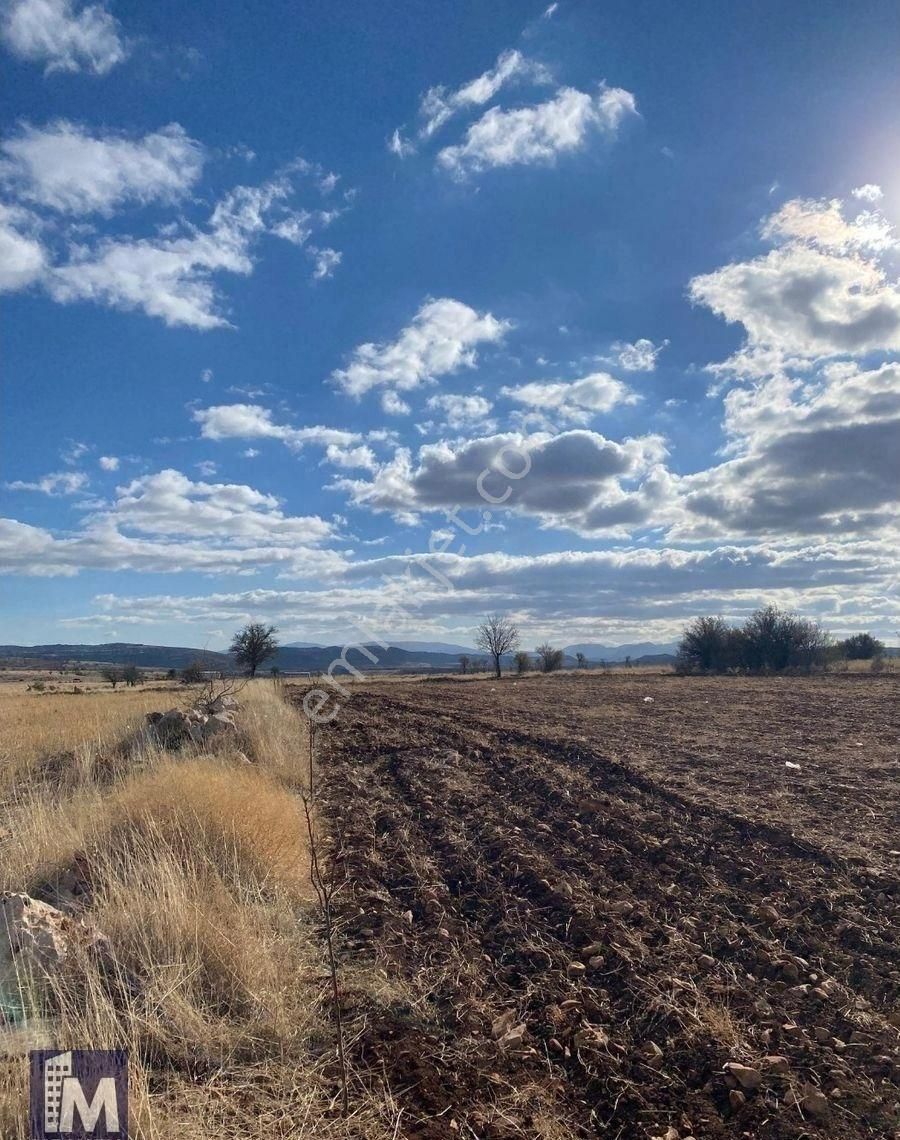 Bu Fiyata Yok!!! Morcalı Mevkii 20 Km Uzaklıkta 5.206 M² Satılık Hobi Bahçesi - Görsel 15