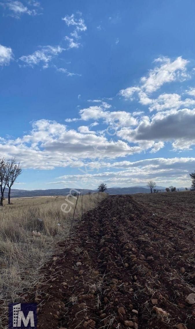 Bu Fiyata Yok!!! Morcalı Mevkii 20 Km Uzaklıkta 5.206 M² Satılık Hobi Bahçesi - Görsel 7