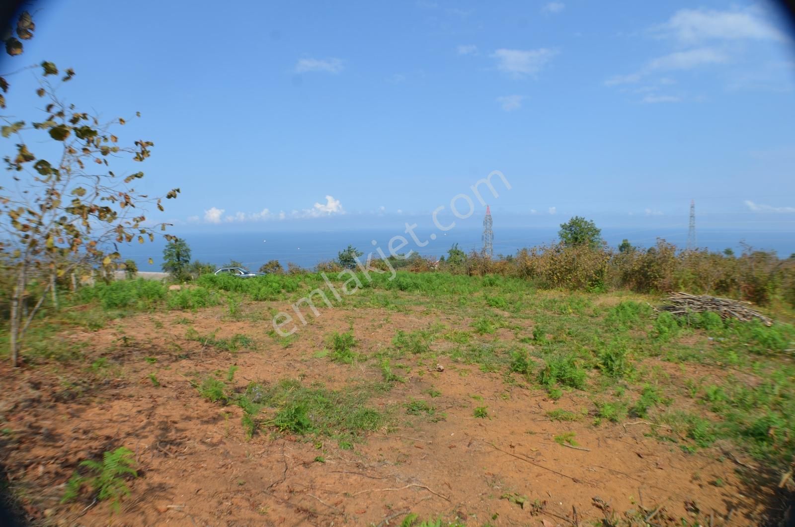 Ordu Havaalanı Karşısında 6dönüm Panoramik Deniz Manzaralı Bahçe - Görsel 5