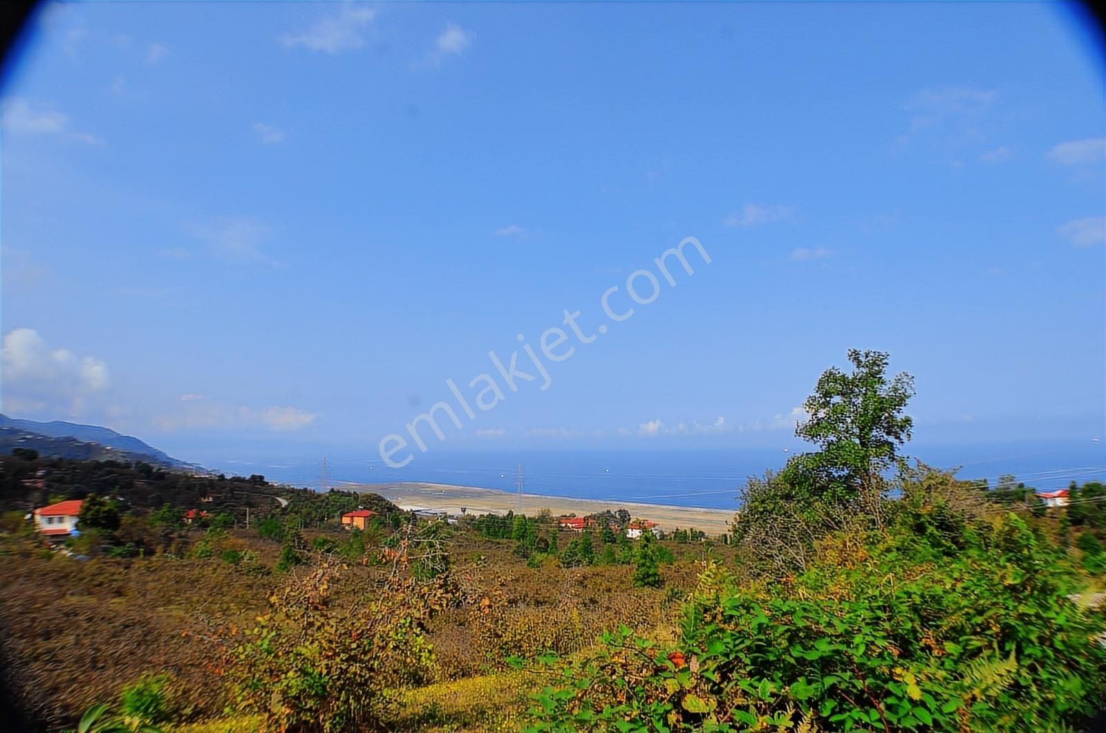 Ordu Havaalanı Karşısında 6dönüm Panoramik Deniz Manzaralı Bahçe - Görsel 34