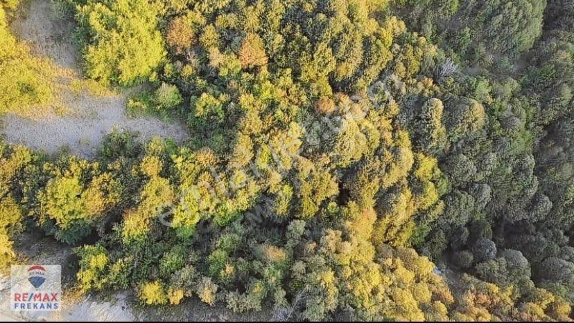 Acil Satılık Tarla %5 İmar - Görsel 4