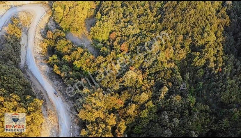 Acil Satılık Tarla %5 İmar - Görsel 3